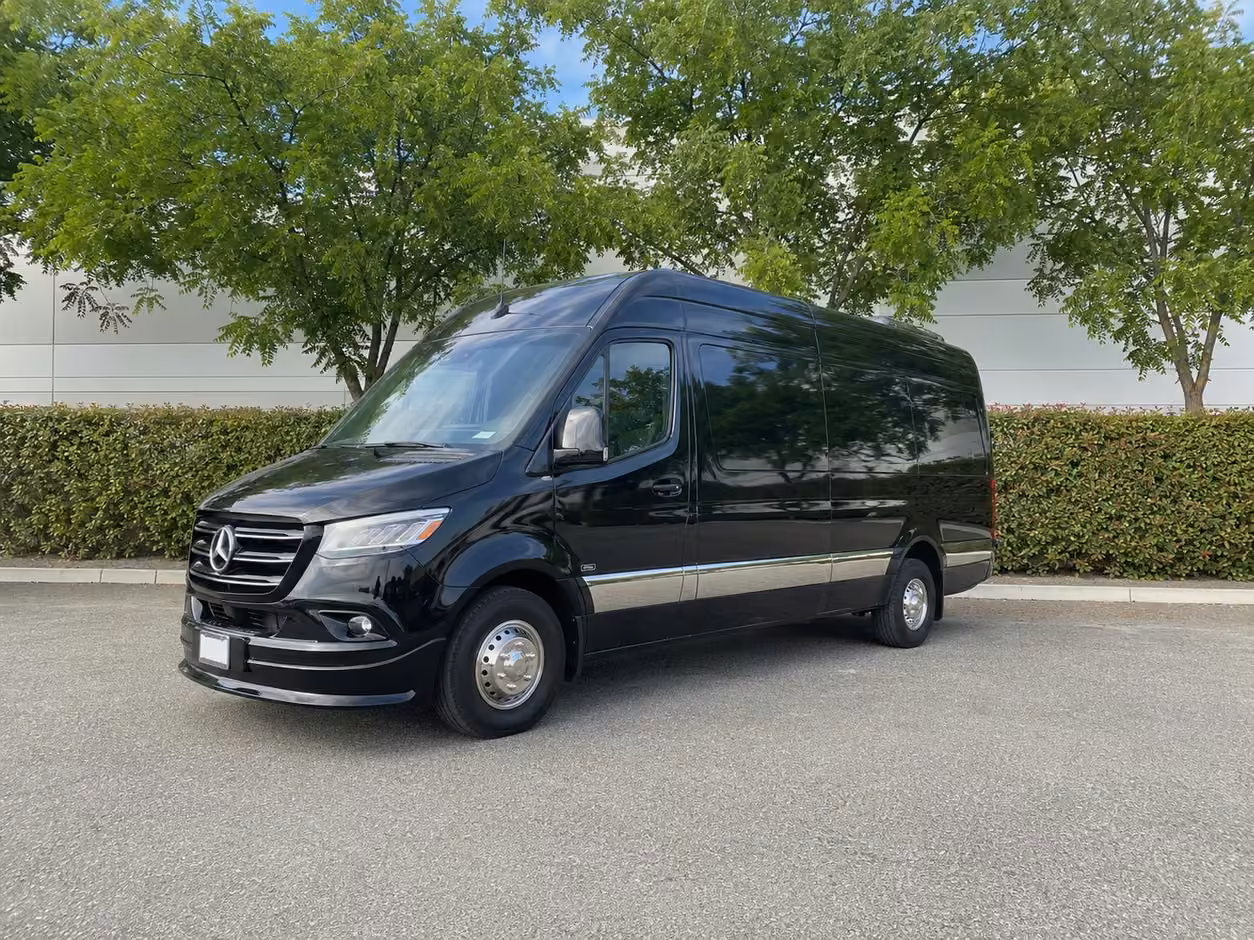 14 passenger sprinter limousine