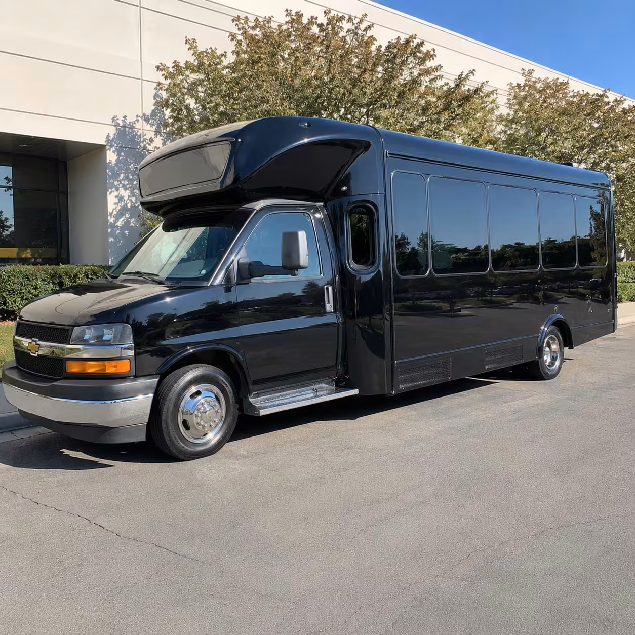 20 passenger party bus