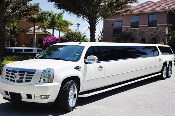 San Jose 20 Passenger Limo